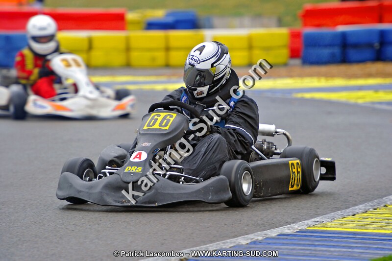 DSC_ (951).jpg
